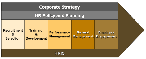 HR value chain